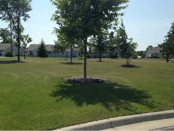 3182 Morning Woods Court - Photo 1
