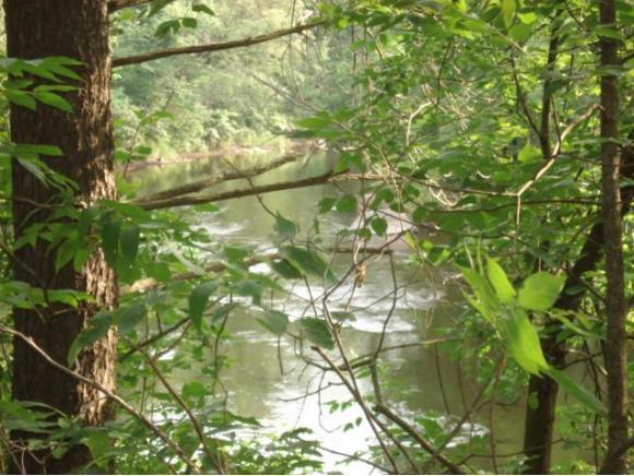 Riverpine Drive - Photo 1
