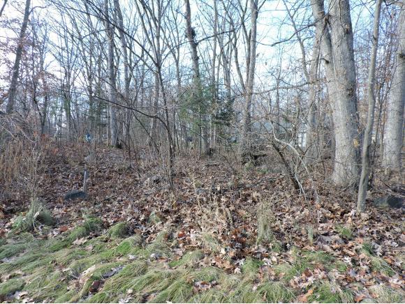 923 Honey Bear Ln Lane - Photo 1