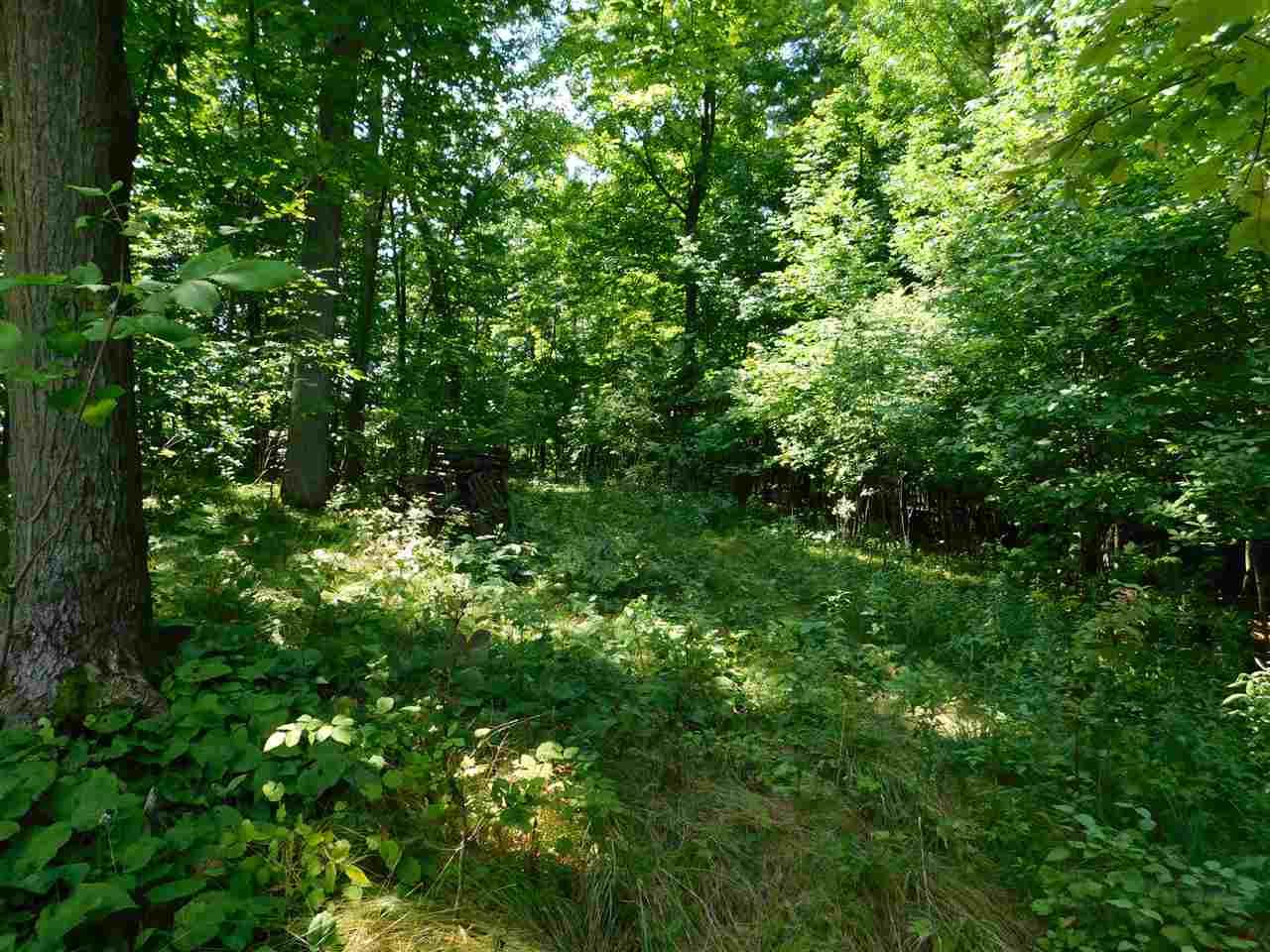 Oak View Drive - Photo 1