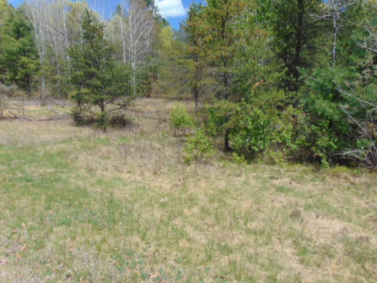 Deepwoods Trail - Photo 1