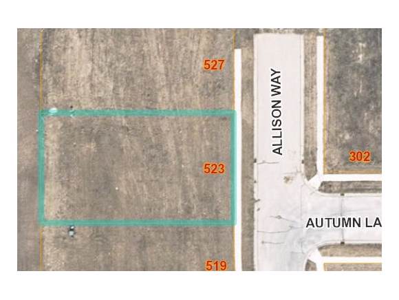 Allison Way - Photo 1