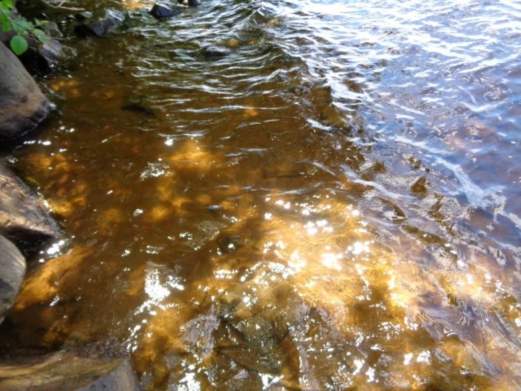 Jolly Fisherman Road - Photo 1