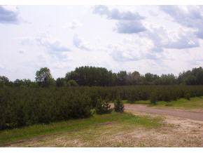 Lot 1 Wandering Springs Court - Photo 1