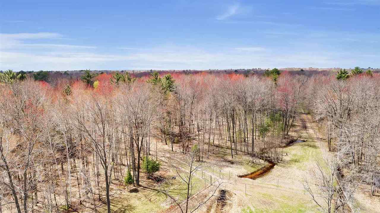 Timber Trail - Photo 1