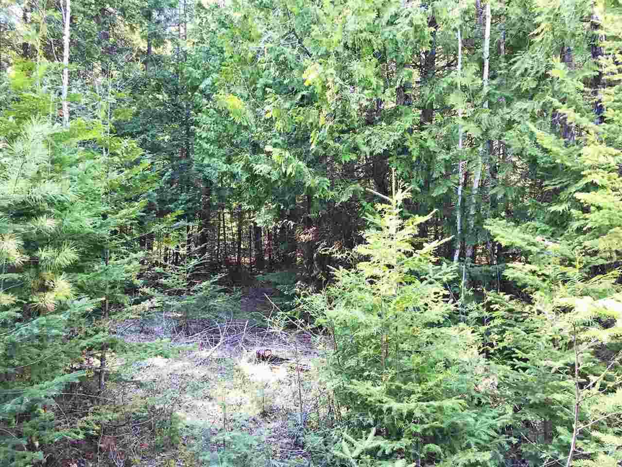 Glidden Drive - Photo 1