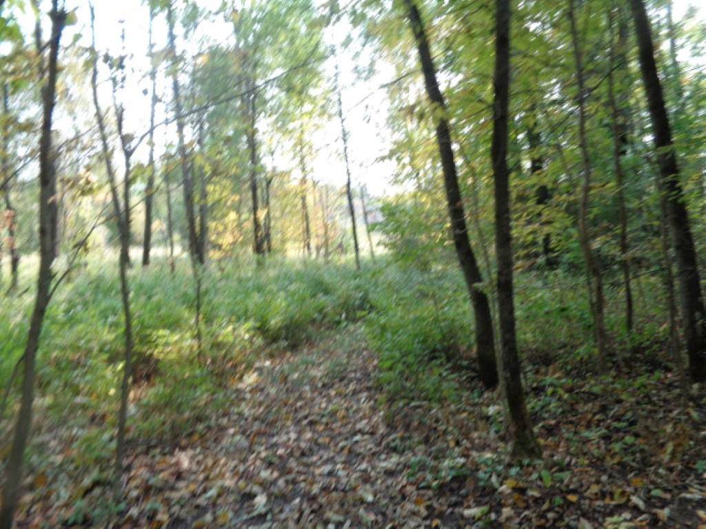 Mosquito Lake Road - Photo 1