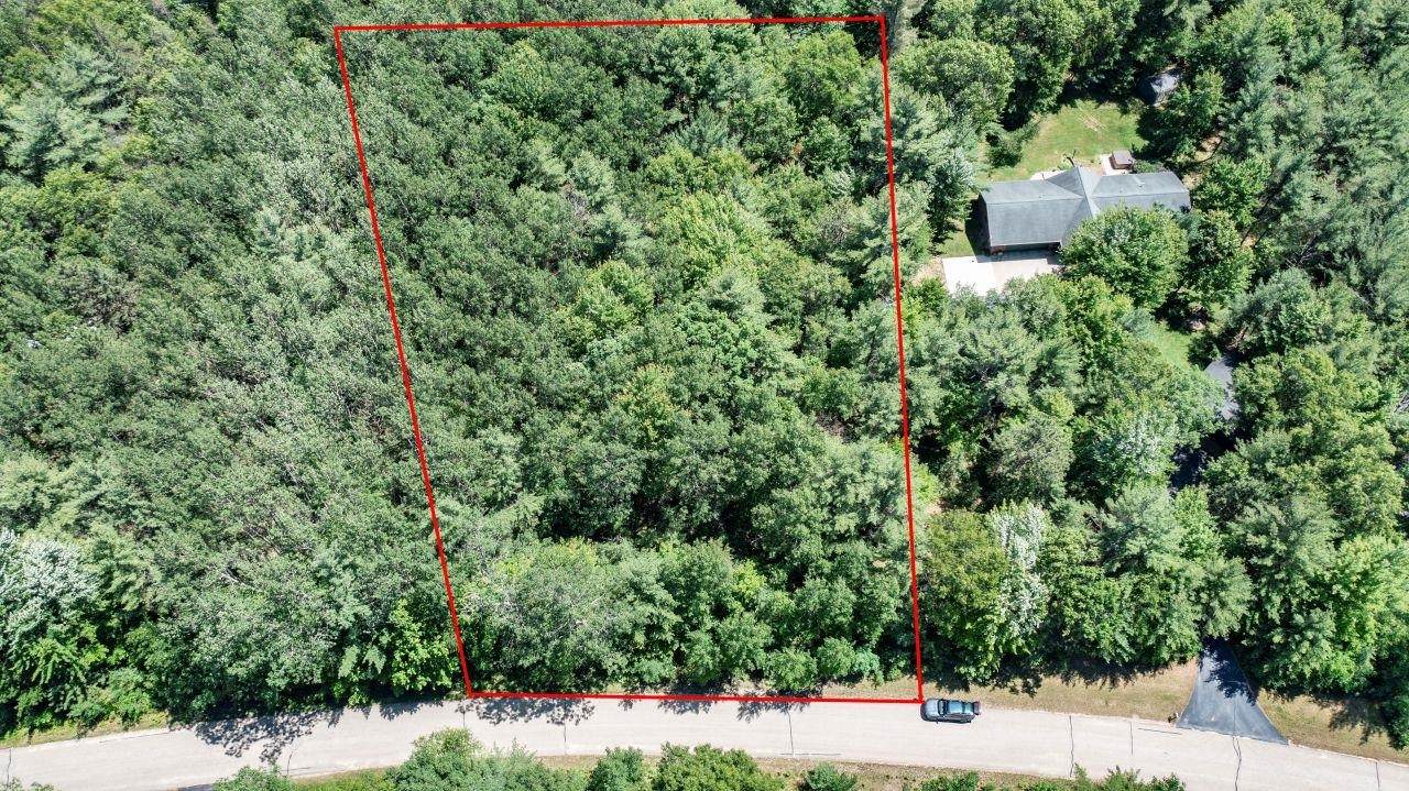  Forest View Lane - Photo 1
