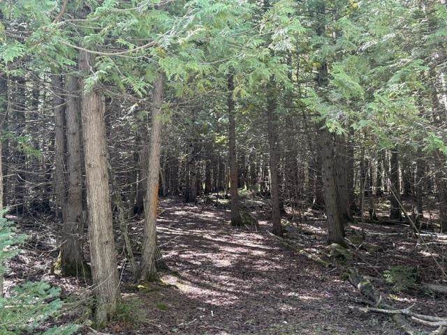  Sleepy Hollow Drive - Photo 1