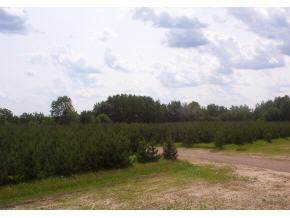 Wandering Springs (Lot 2) Court - Photo 1