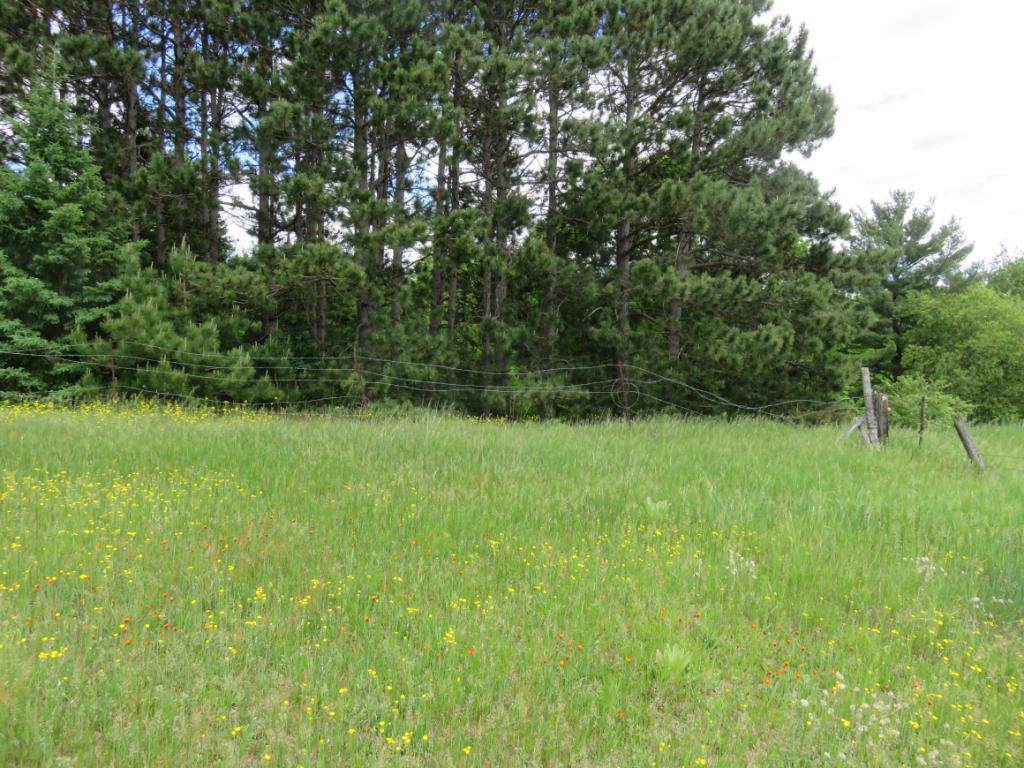 Rose Brook Rd Road - Photo 1