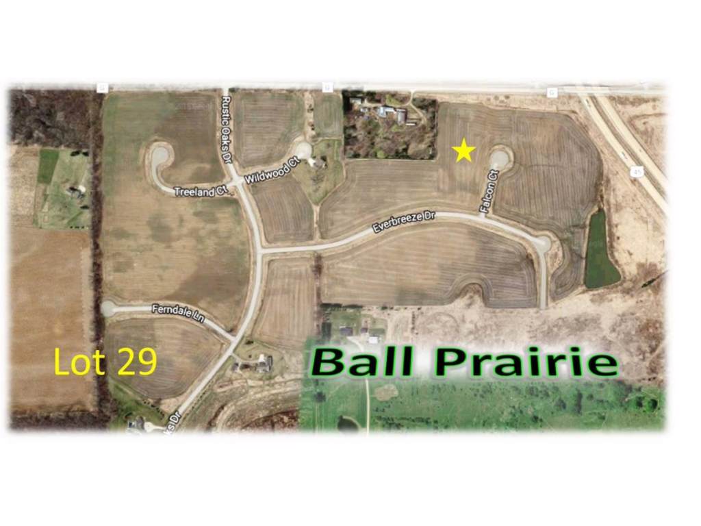 6671 Falcon Court - Photo 1