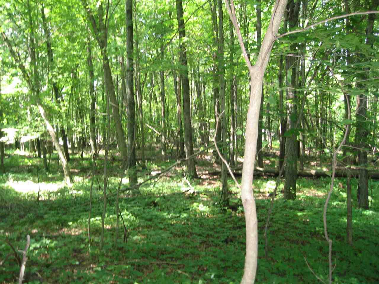 Royal Oaks Drive - Photo 1