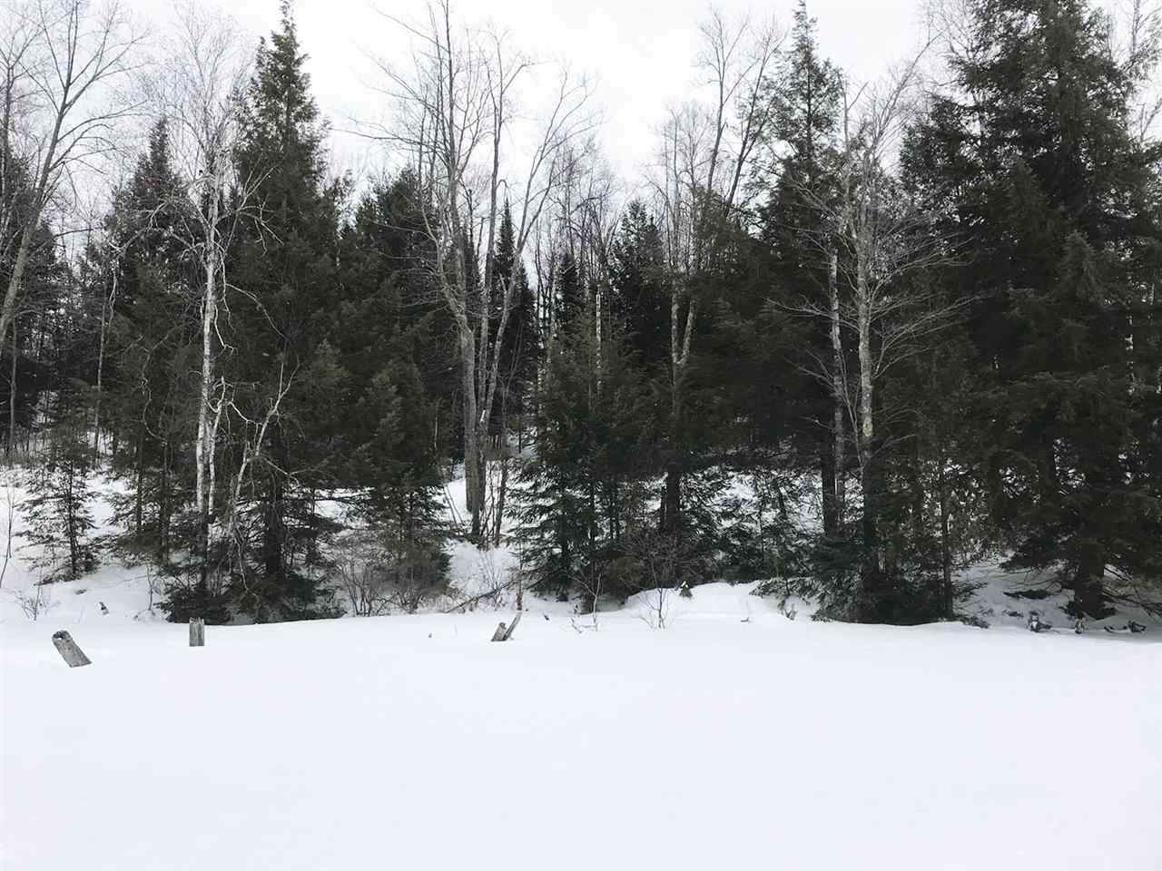 Lake John - Photo 1
