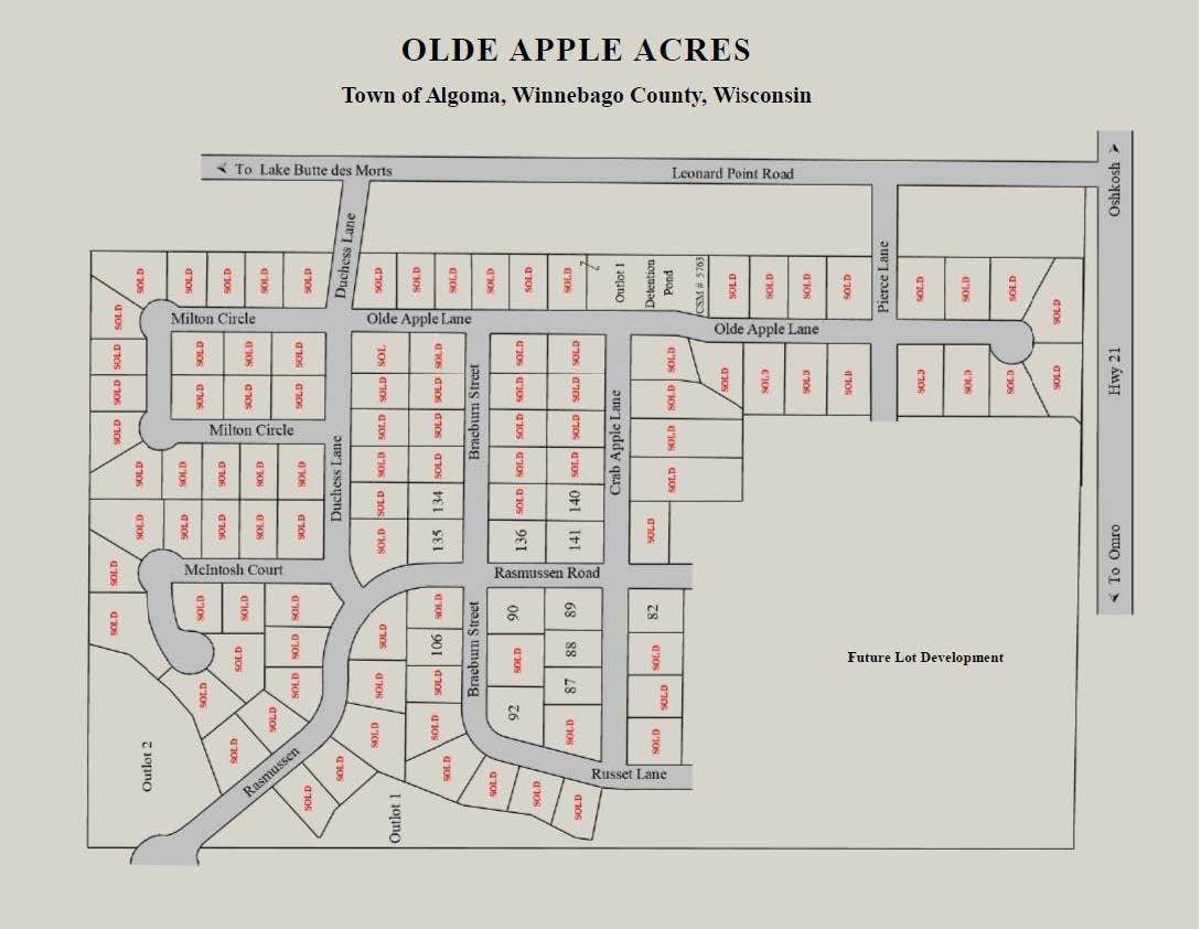 Crab Apple Lane - Photo 1