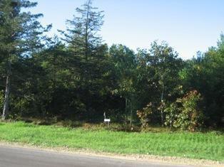 0 Stetzer Road - Photo 1