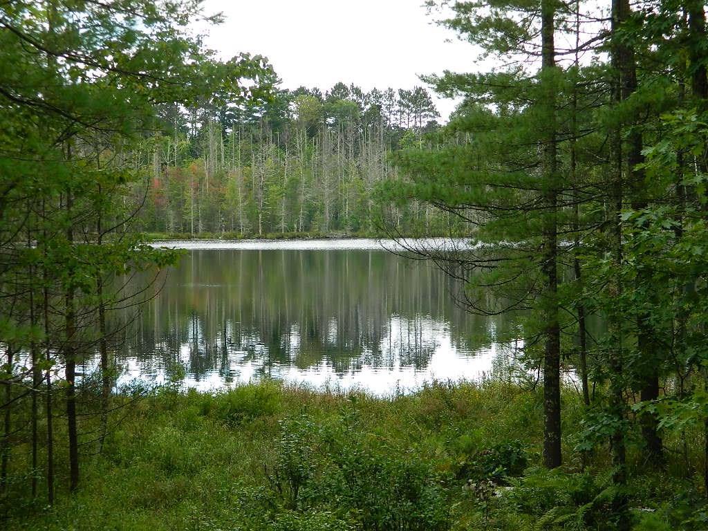 0 Adina Lake Drive - Photo 1
