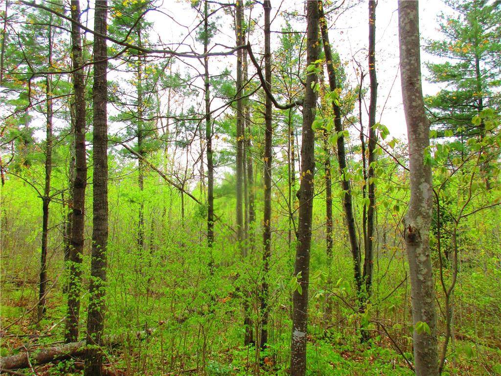 0 Mosquito Brook Road - Photo 1