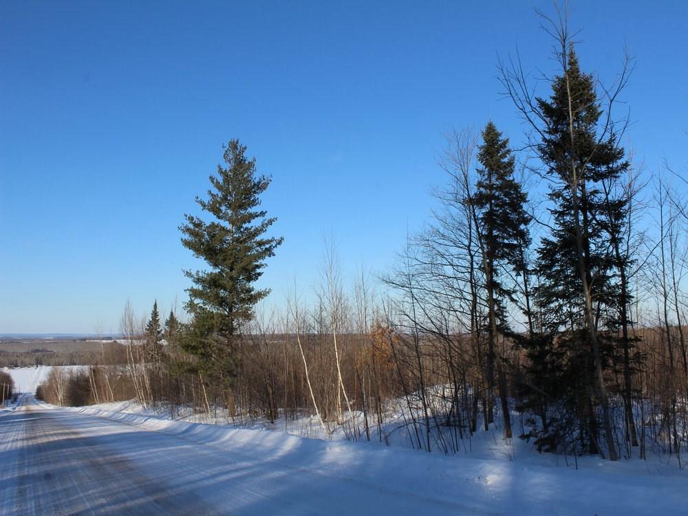 ON Altamont 8212-4 Road - Photo 1