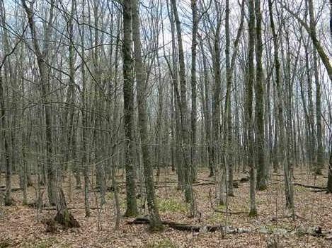 0 Hwy 77 - Photo 1