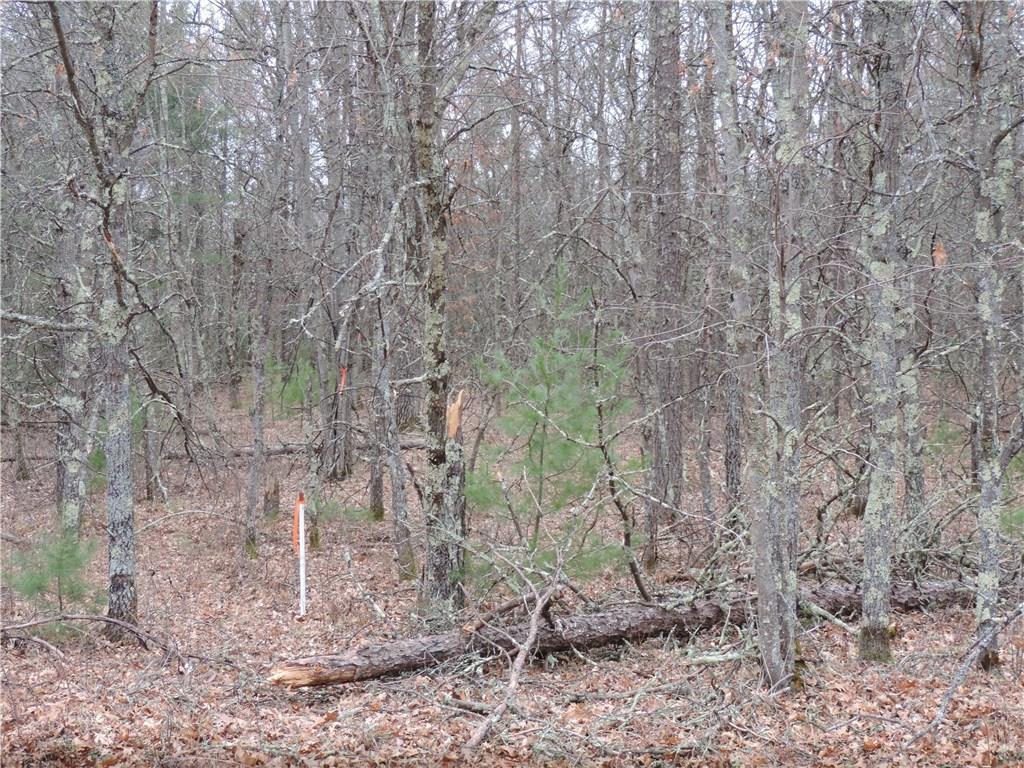 Lot 5 Ice Road - Photo 1