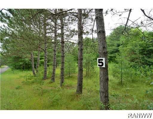Lot 5 Robin Lane - Photo 1