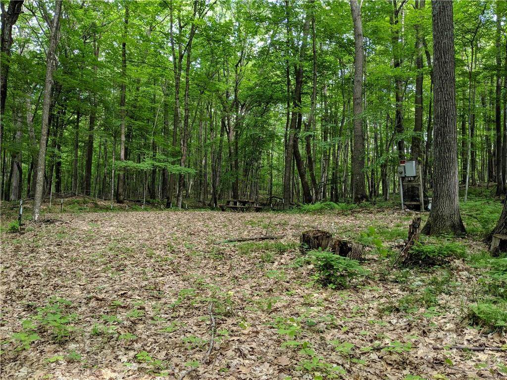 Lot 16 Musky Bay Road - Photo 1