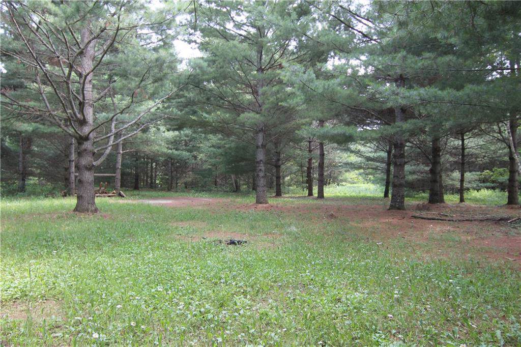 12947 Pine Cove Lane - Photo 1
