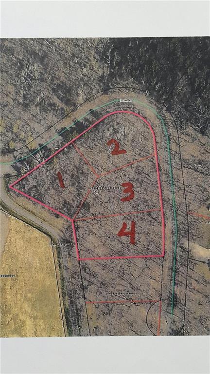 Lot 4 122nd Avenue - Photo 1