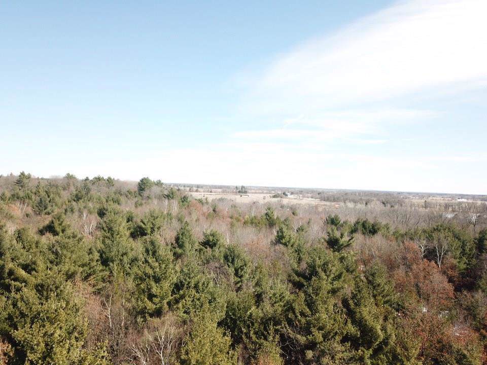Lot 1 Centennial Street - Photo 1