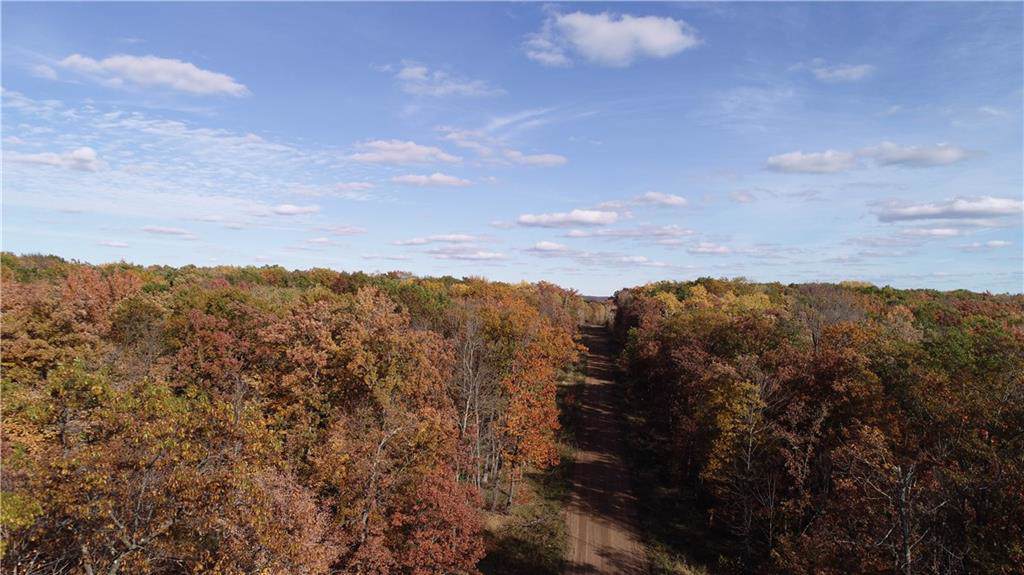 Lot 16 10 3/8 Avenue - Photo 1