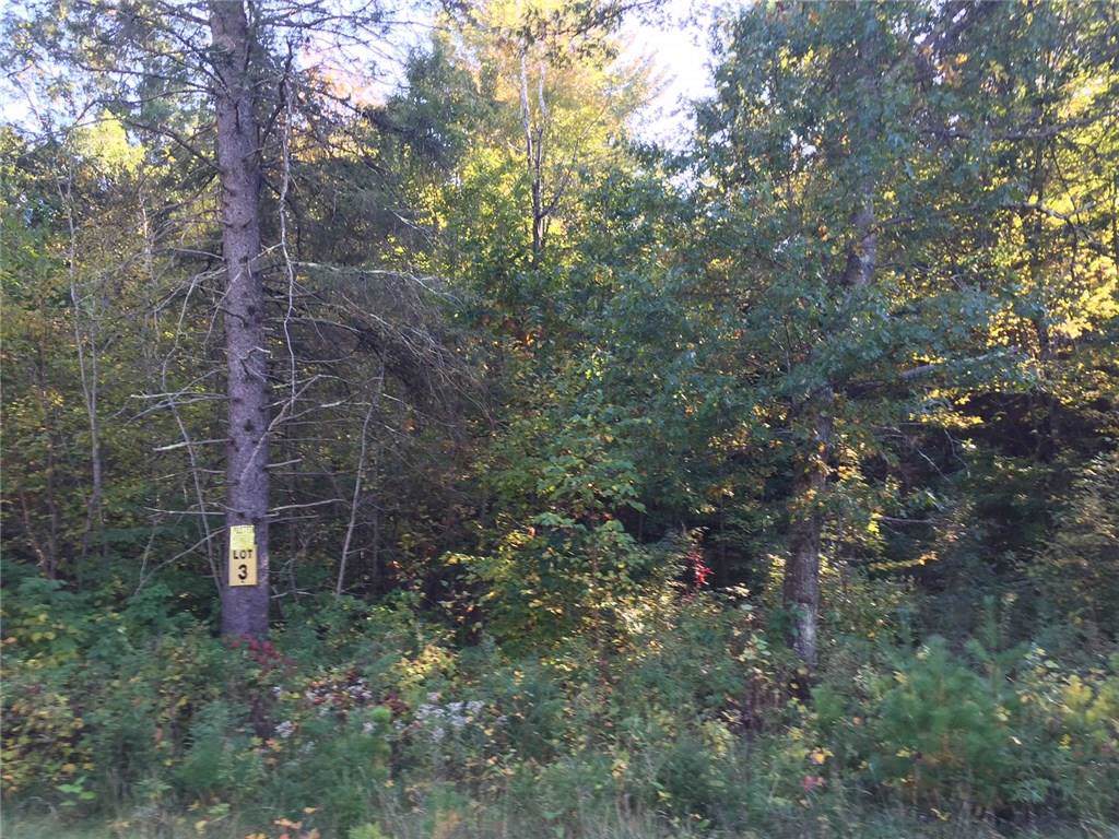 Lot 3 Bean Brook Ln - Photo 1