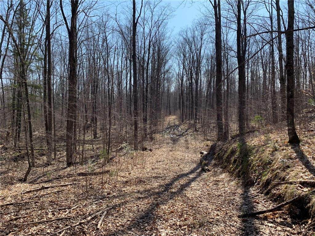 Near Goetzke Road - Photo 1