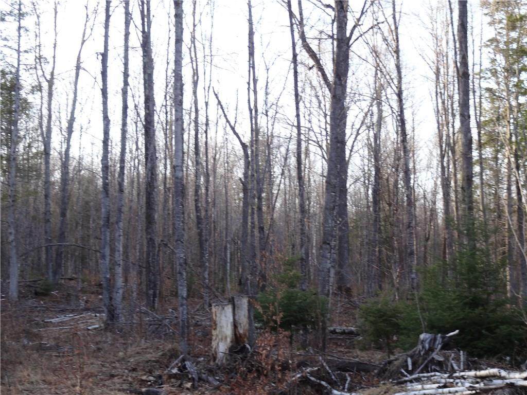 Near Touve Road - Photo 1