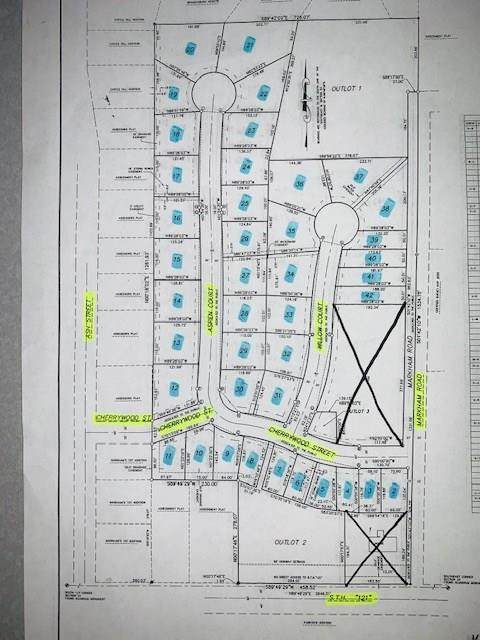 Lot 4 Cherrywood Street - Photo 1