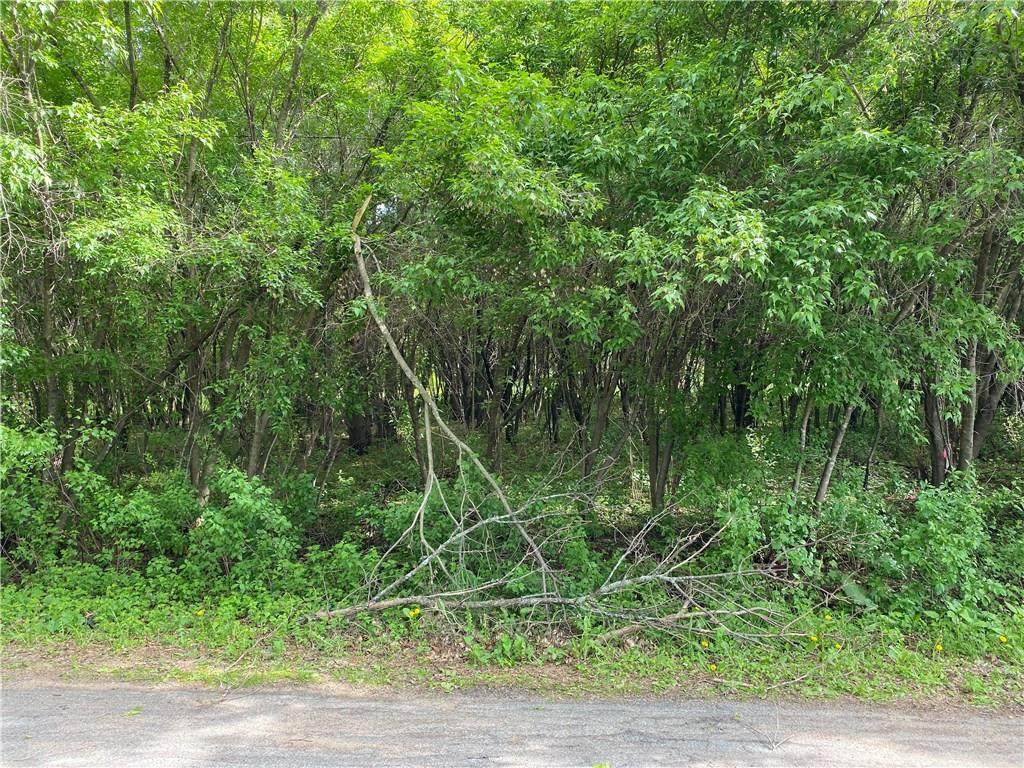 Lot 2 Rosewood Lane - Photo 1