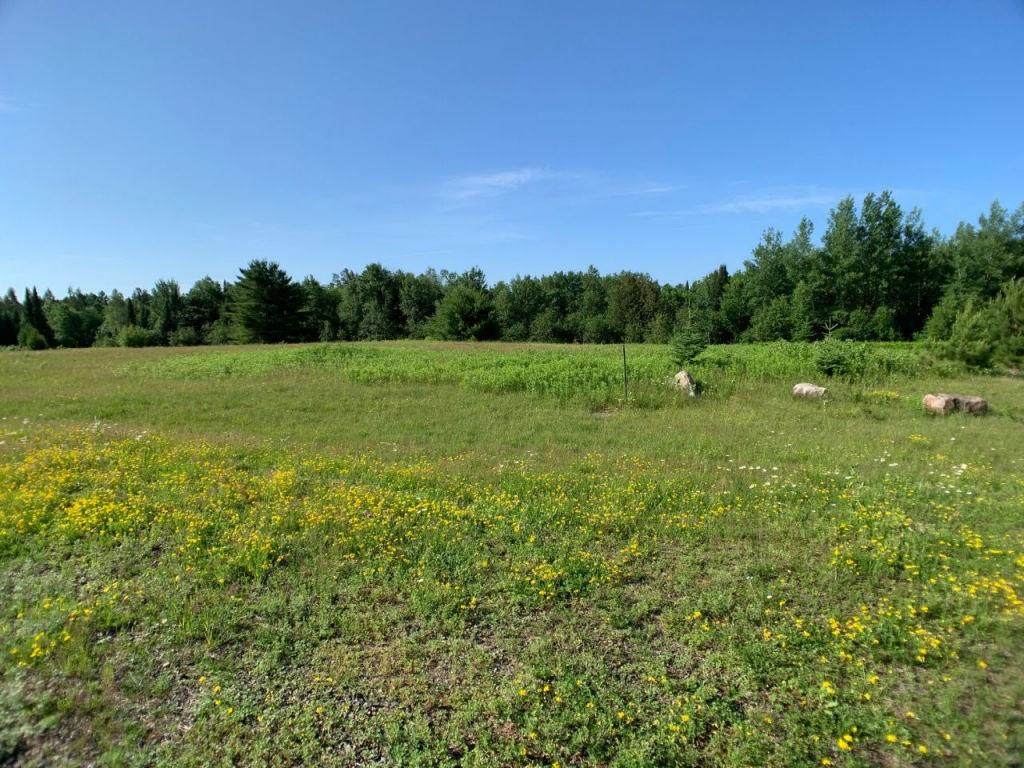 Lot 5 Bear Paw Trail - Photo 1