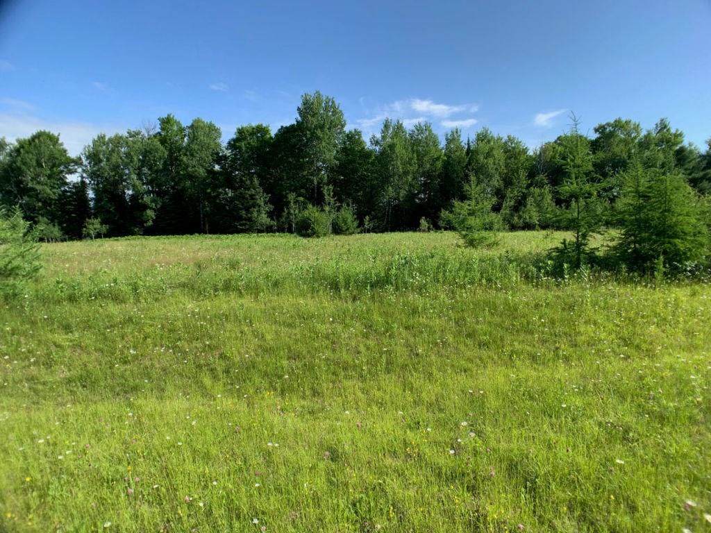 Lot 10 Bear Paw Trail - Photo 1