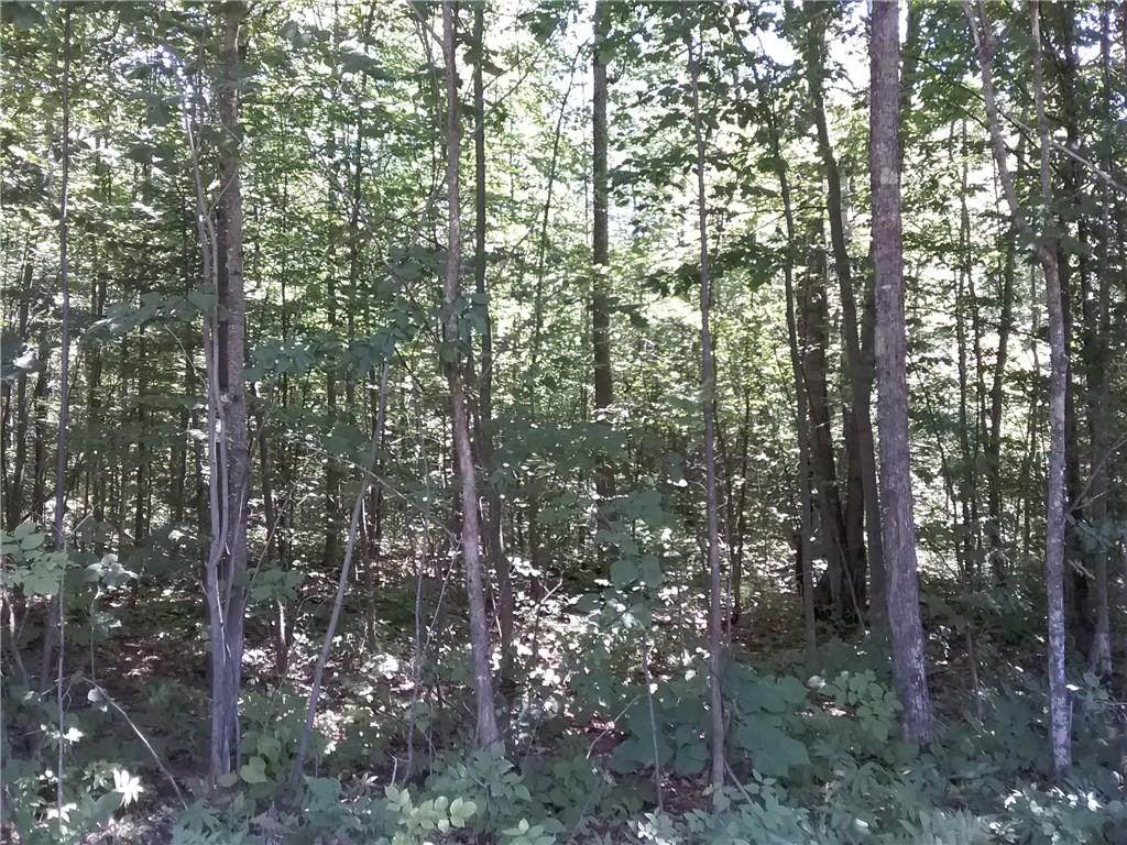 ON Peterson Hill Road - Photo 1