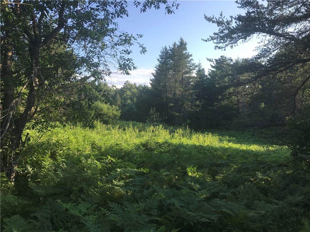 Lot 7 Bondegard Drive - Photo 1