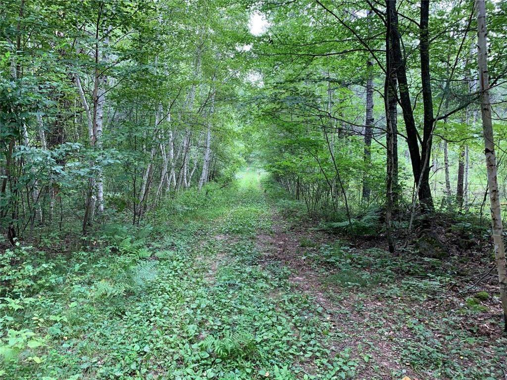 W6488 River Road - Photo 1