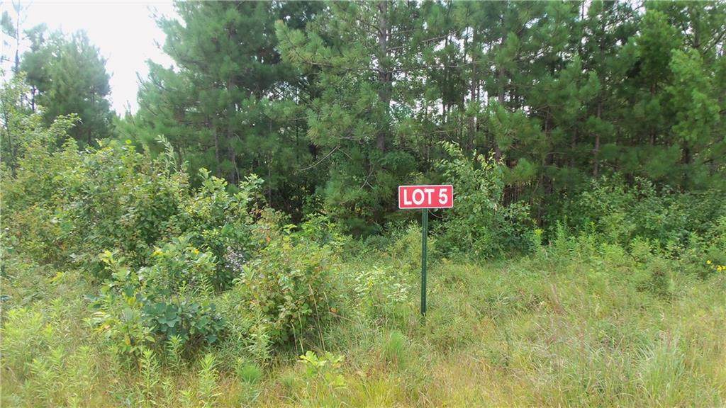 LOT 5 Cty Hwy E - Photo 1