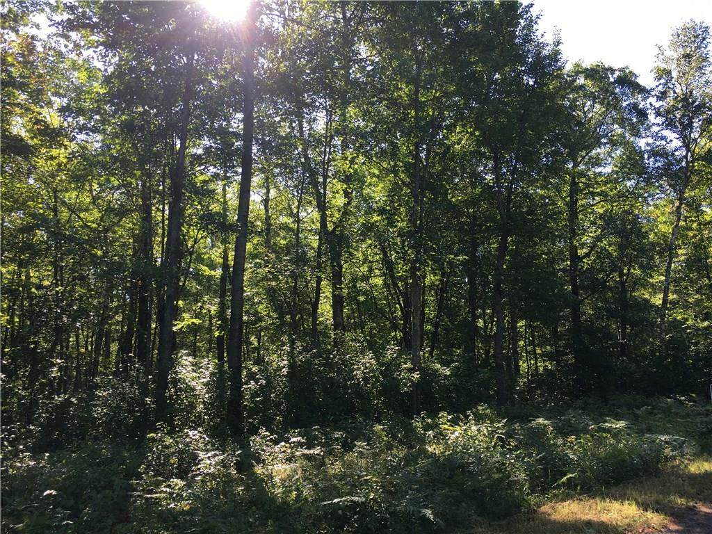 Lot 22 Ruth Lake Road - Photo 1