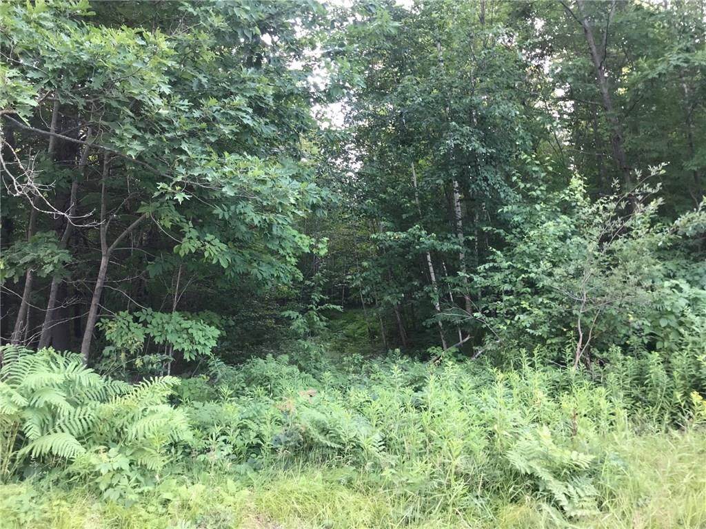 Off Colbroth Road - Photo 1