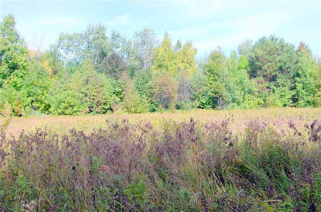 40 Acres on Hwy. 8 - Photo 1