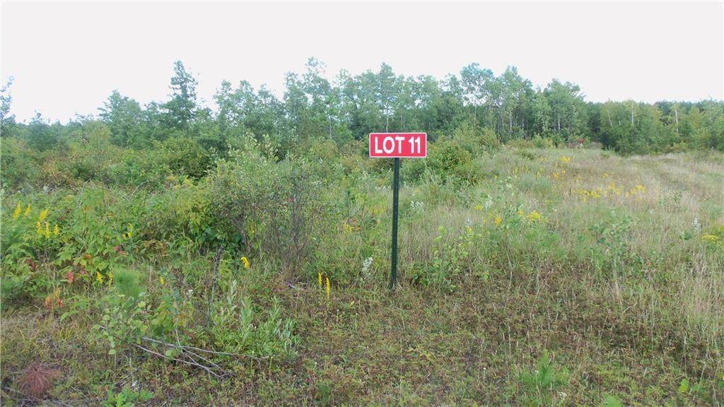 LOT 11 Pine Tree Trl - Photo 1
