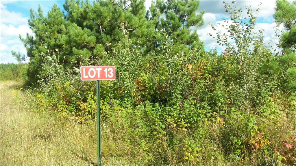 LOT 13 Pine Tree Trl - Photo 1