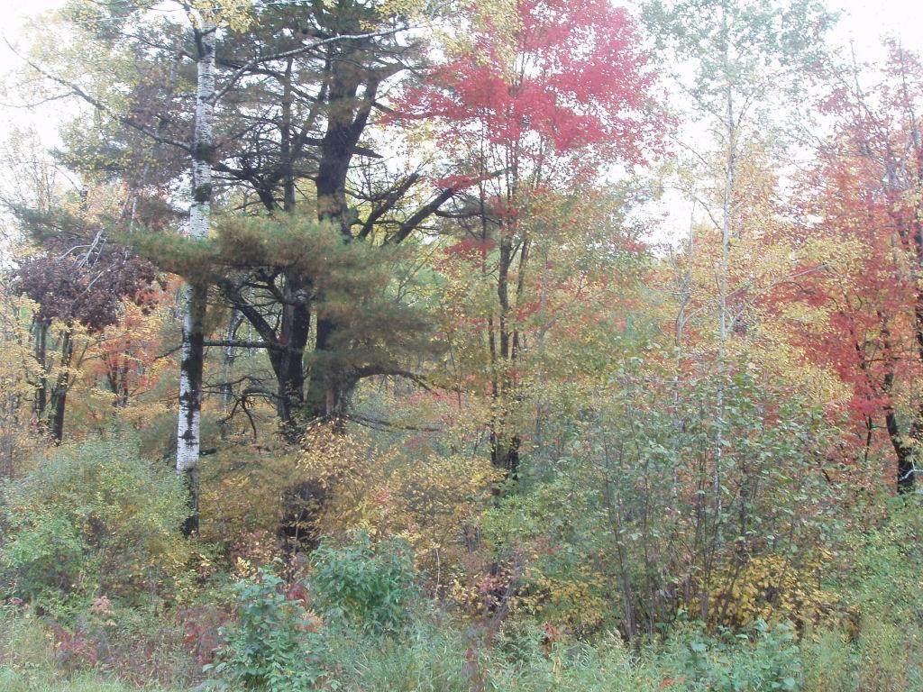 On Sundling Rd - Photo 1