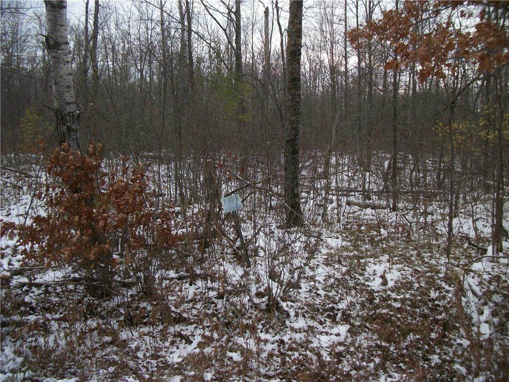 Lot #7 Tagalong/28 1/2 Ave - Photo 1