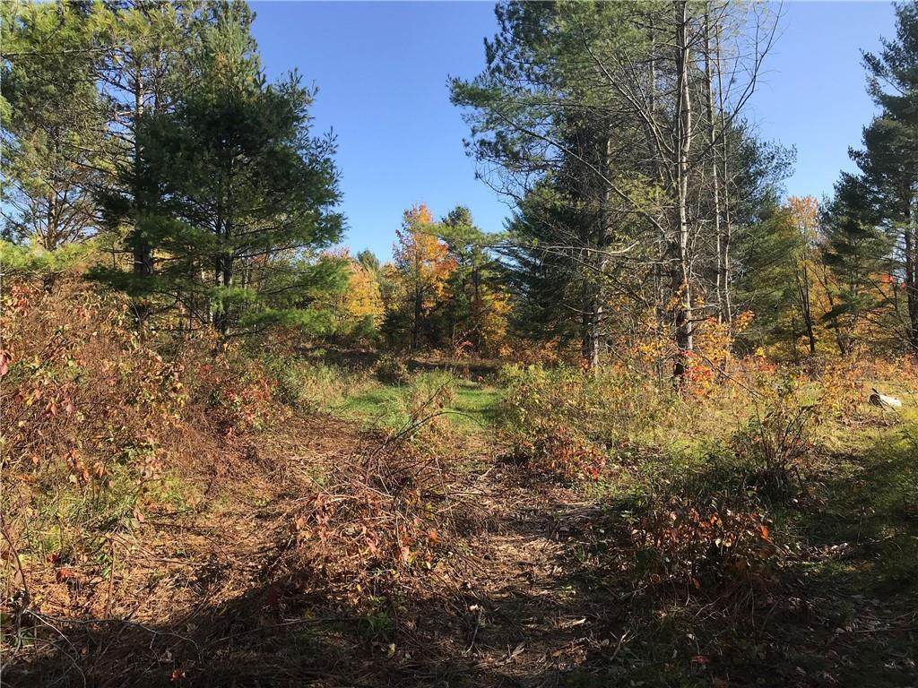 48420 Pine Rock Road - Photo 1